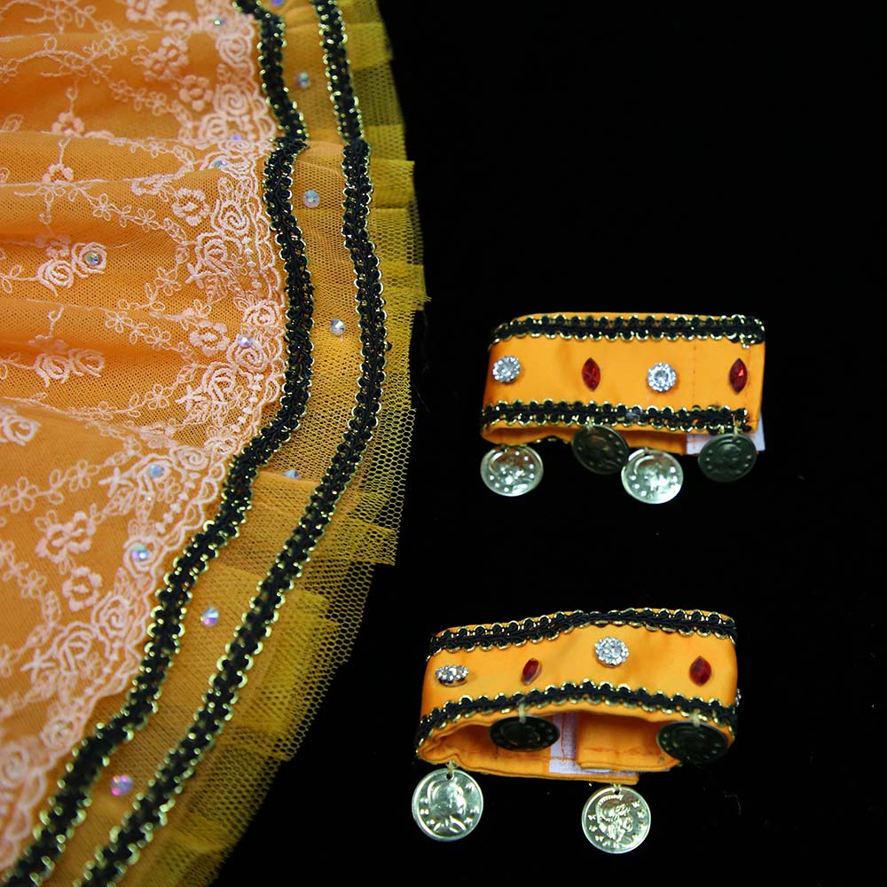 Orange Fairy Ballet Tutu - Image 5